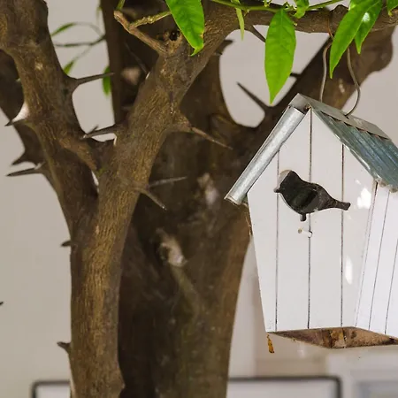 Apartament & Bari I Mlini