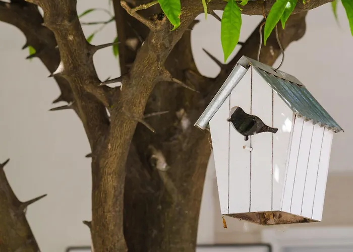 Apartament & Bari I Mlini